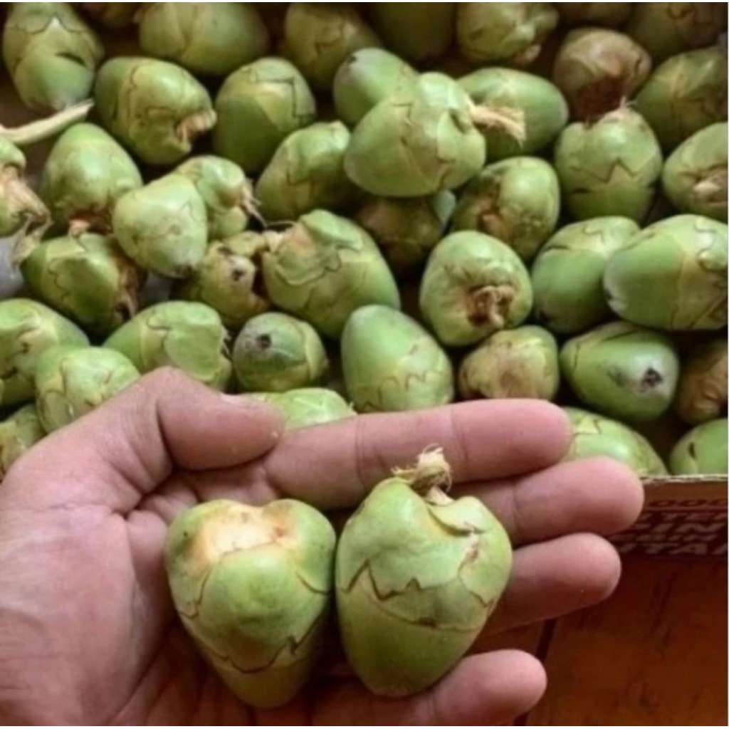 

BELULUK 1KG SUPER MURAH SUPER PULA KHASIAT NYA