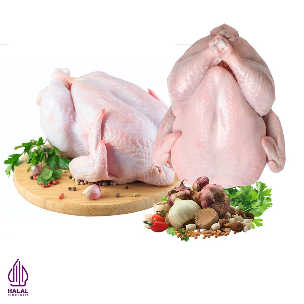 

Ayam Karkas broiler mentah Bersih siap masak - Ayam broiler utuh 1 kg - Ayam Potong