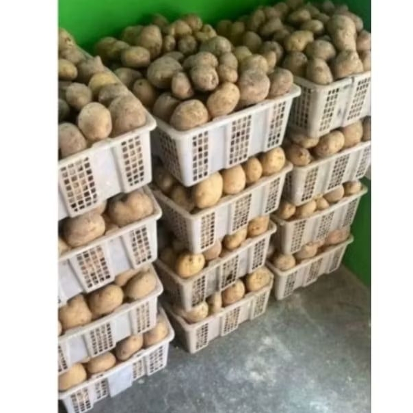 

kentang dieng besar super 1 kg