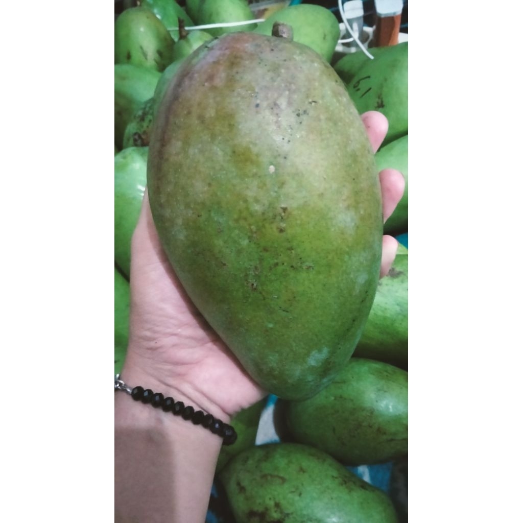 

mangga kiojay rujakan garing kriuk fresh