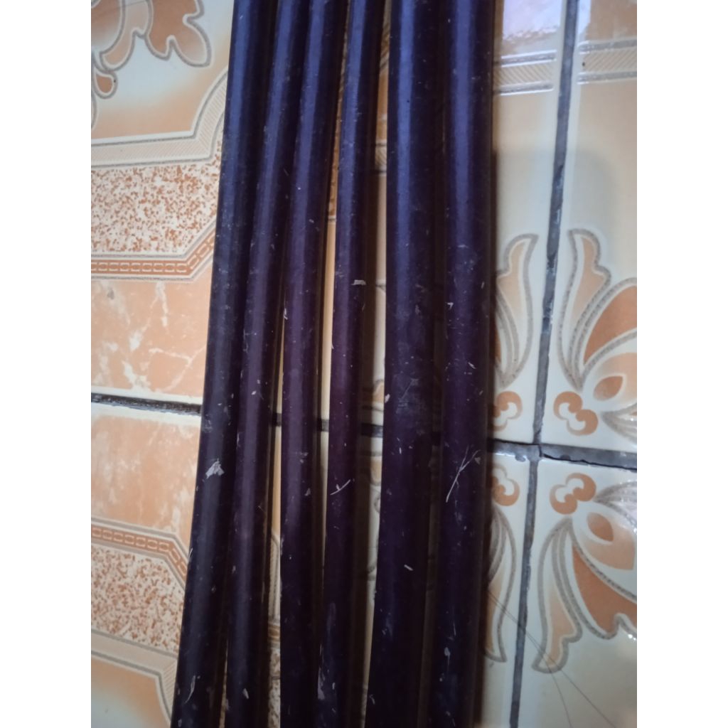 

batang pepaya ungu / pepaya hitam P 40 cm isi 6 batang