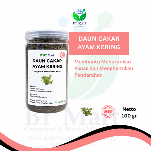 

BY KIMIA & HERBAL - Daun Cakar Ayam Kering / Selaginella doederleinii / Obat Herbal Alami
