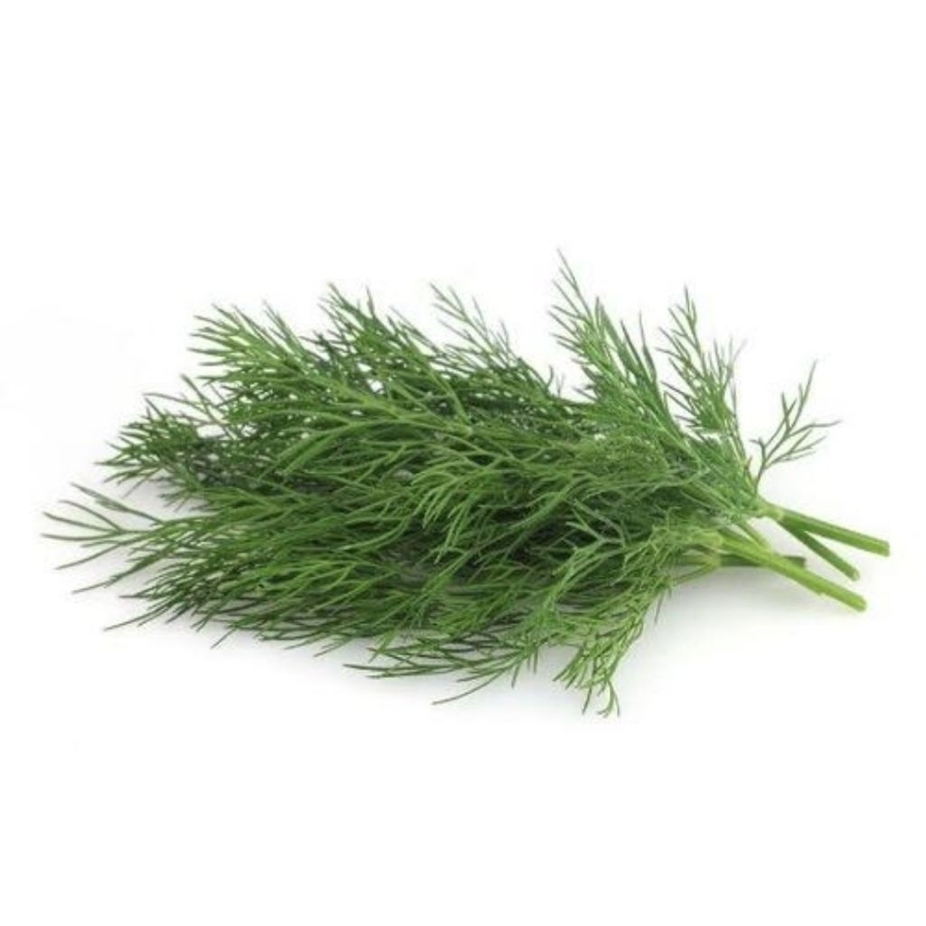 

Daun dill segar 50 Gram