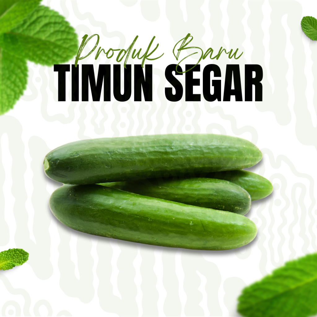 

JUAL Timun Segar / Timun 1 Buah / Sayuran Hijau / Lalapan Sayur / Masakan Timun