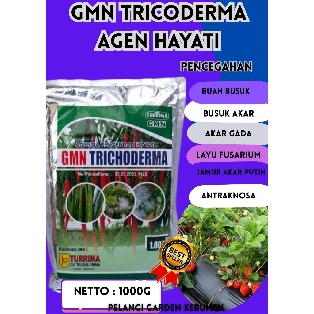 SOLUSI AJAIB  Trichoderma Anfush, Trichoderma Asperellum Isi 1kg