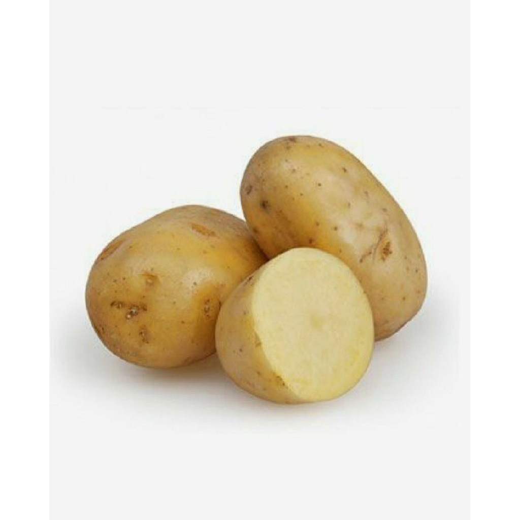 

kentang Granola Kentang sayur fresh 500gram