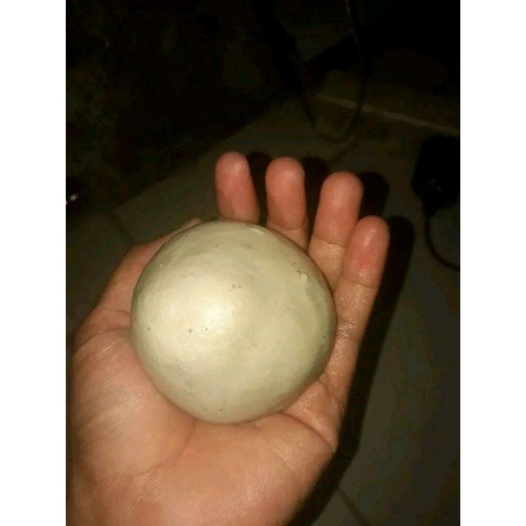 

Pulut Burung Asli Disini persatuan