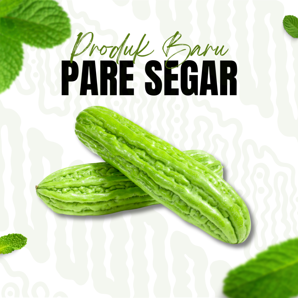 

Sayur Pare Segar / Pare 1 Buah / Pare 1 Biji / Pare Segar / Masakan Pare / Pare Hijau