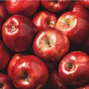 

APEL MERAH WASHINGTON 400 -450gram