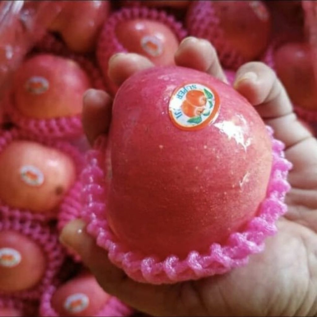 

Buah apel Fuji premium manis 1 kg
