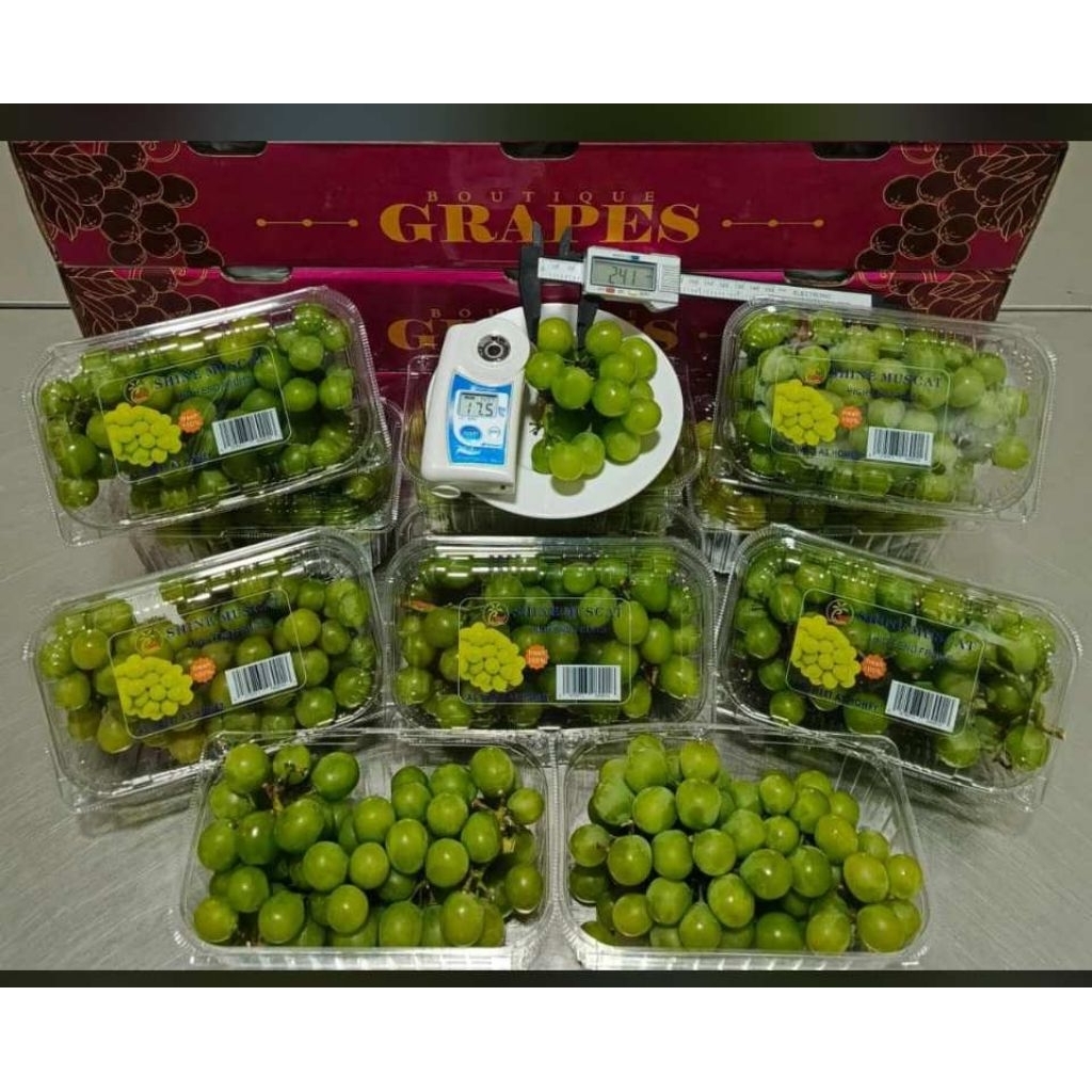 

anggur shine muscat china berat 500 grm/pac