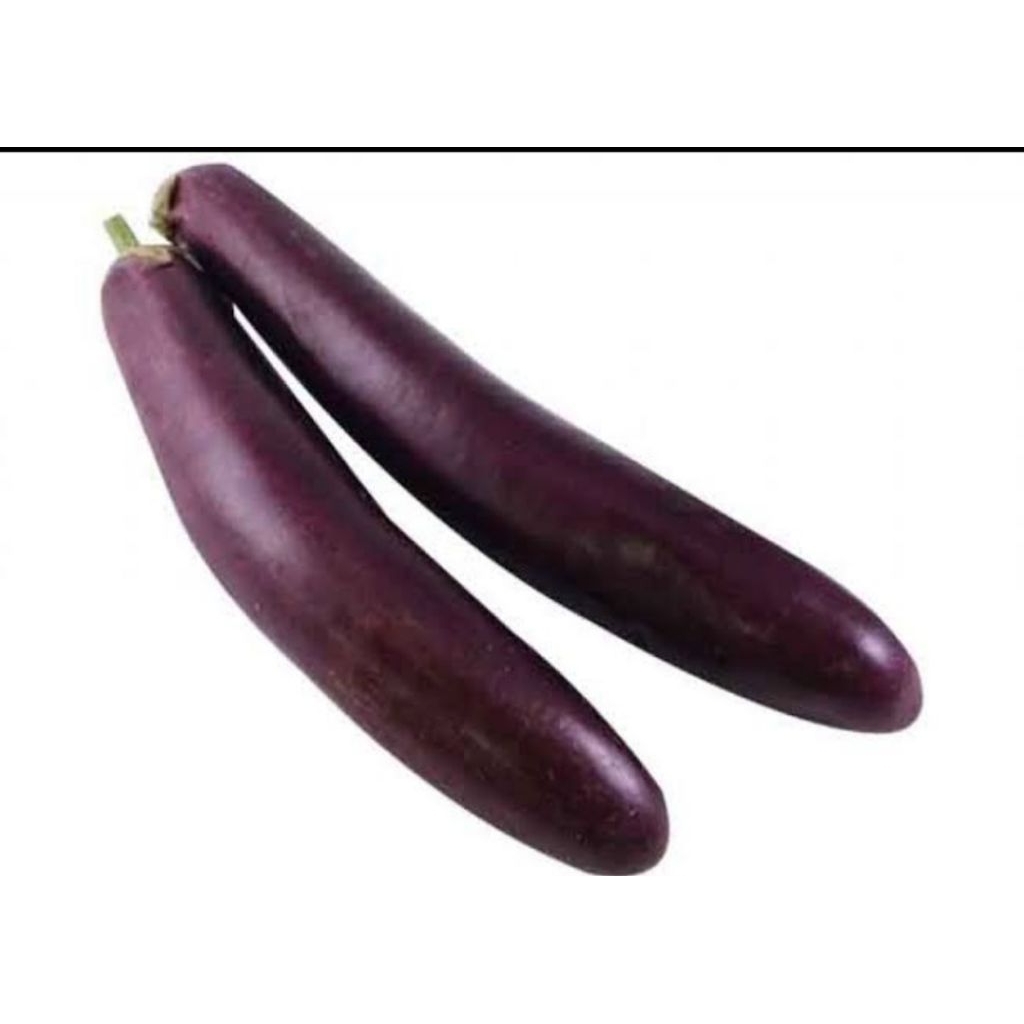 

Terong Ungu Fresh Segar