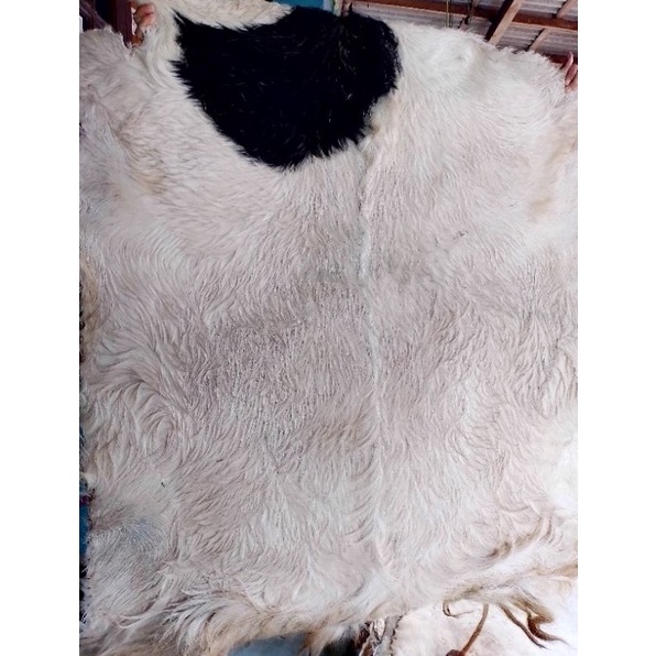 KODE T42P kulit kambing kering super jumbo beduggendang dll