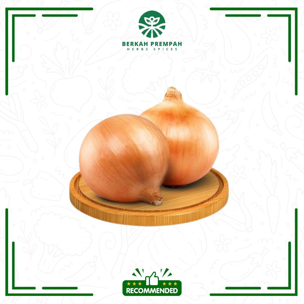 

Bawang bombay segar / Bawang bombay super premium - BerkahPrempah