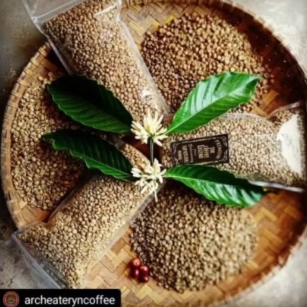 

KOPI ROBUSTA PREMIUM ASLI KHAS RANAU OKU Selatan HARGA TERMURAH GROSIR BISA UNTUK OLEH-OLEH