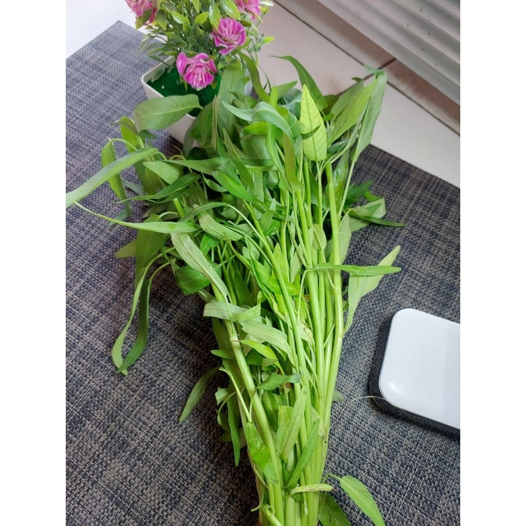 

Kangkung sayur [1 ikat] Sayur Segar Bogor