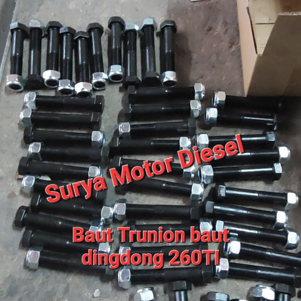 BAUT TRUNION BAUT DINGDONG HINO LOHAN FM260TI 10MM