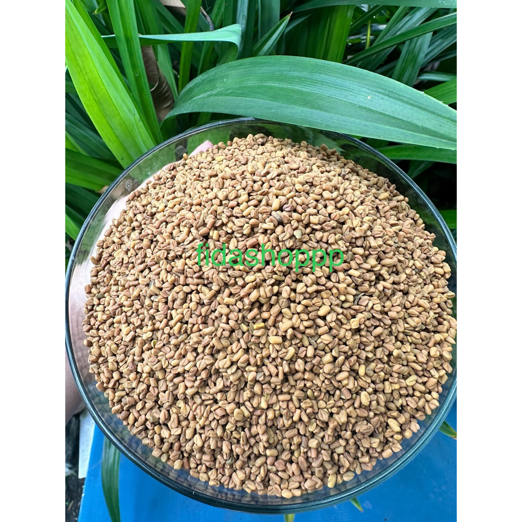

klabet 1kg / kelabat biji klabat