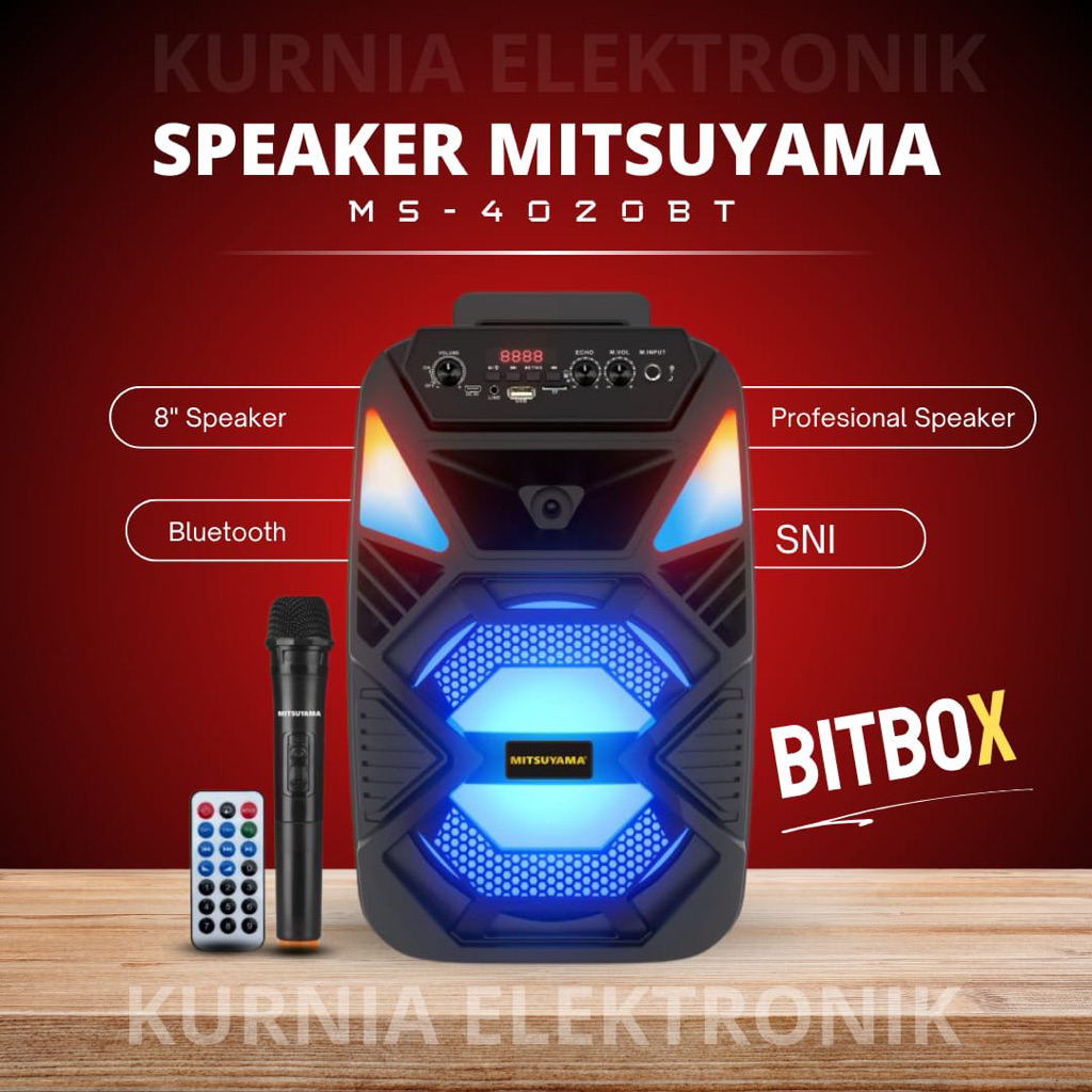 speaker mitsuyama/aoyama