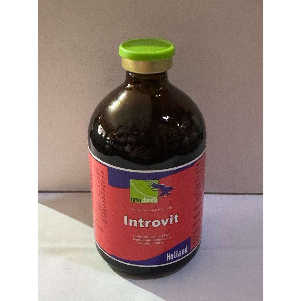 Harga introvit Terbaru Jun 2026 | BigGo Indonesia