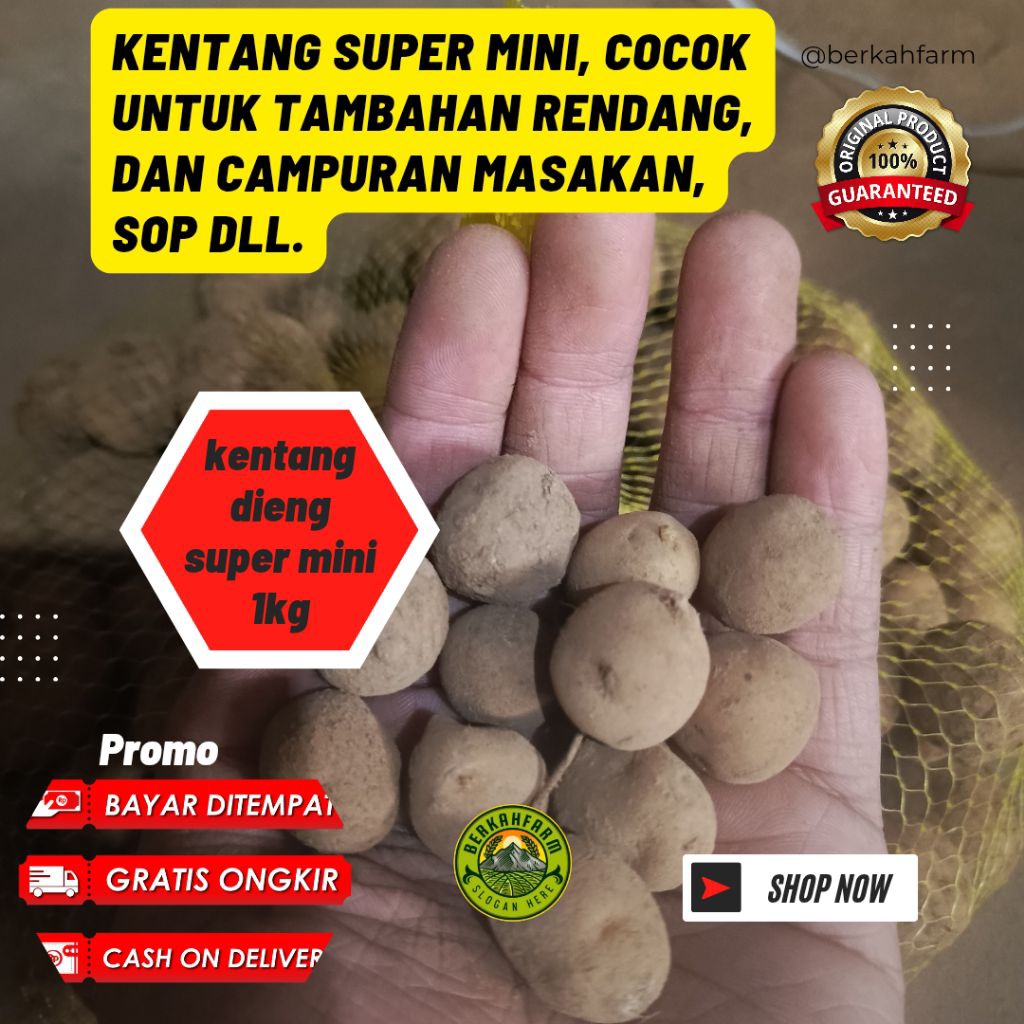 

kentang dieng murah 1kg super mini ukuran kelereng, cocok untuk campuran sop murah