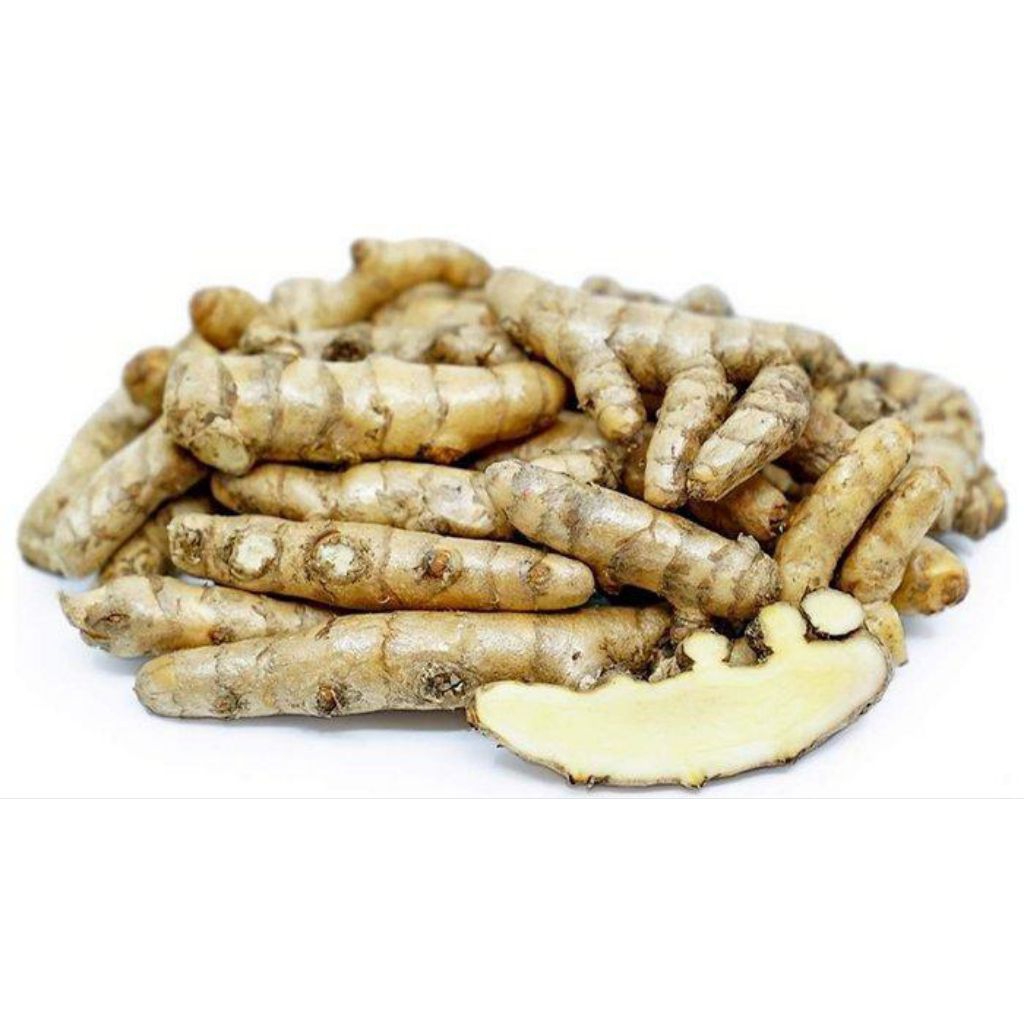 

KUNYIT PUTIH SEGAR 500 GRAM OBAT HERBAL