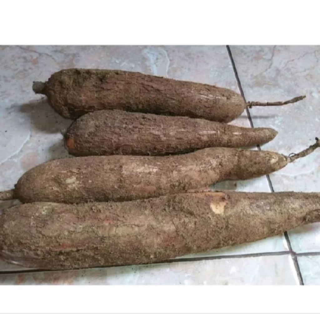 

singkong mentah pulen 1 kg