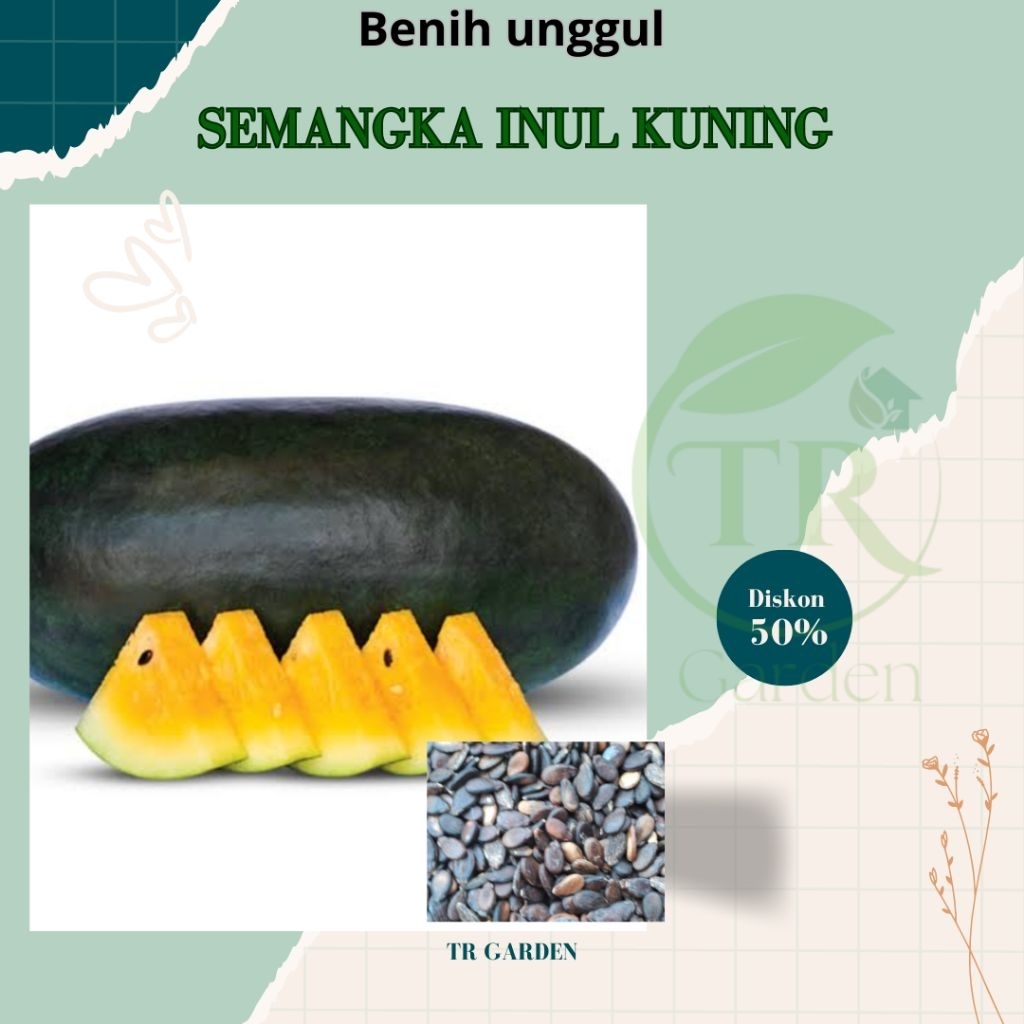 

biji semangka INUL KUNING UNGGUL | MURAH