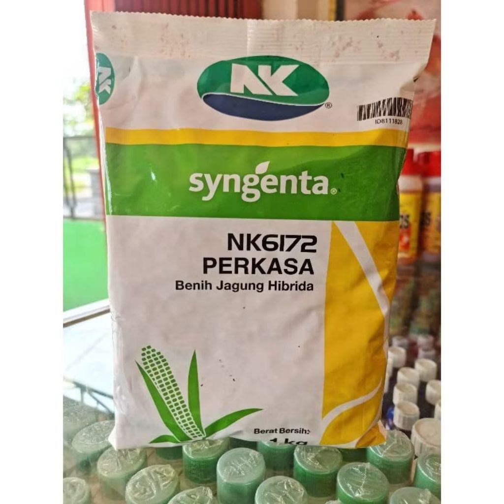 NK PERKASA 6172 benih jagung hibrida F1 1 kg