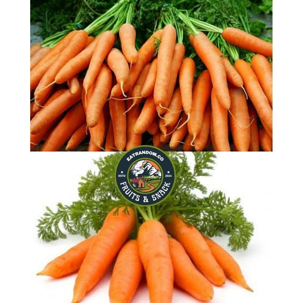 

wortel sayur fresh 1kg murah