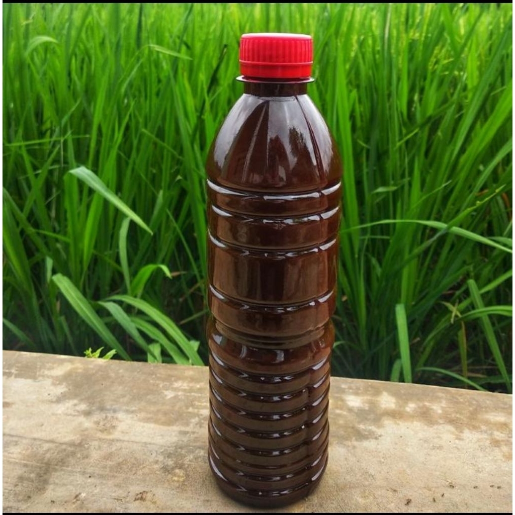 

Biang Jae Asli Purbalingga