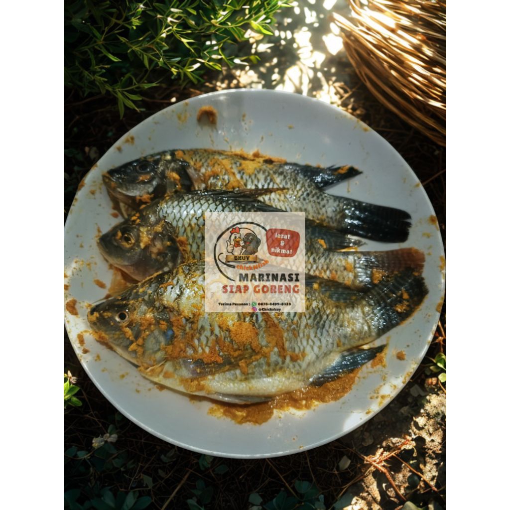 

Ikan Mujaer Marinasi