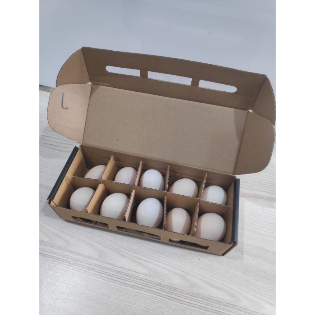 

TELUR AYAM KAMPUNG PETELUR FERTIL SIAP TETAS PAKET ISI 10 BUTIR