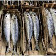 

SEGAR BERSERI - CUE LAYANG 2PCS