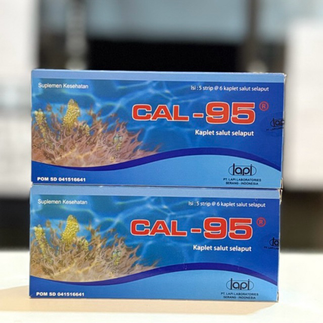 CAL-95 tablet | cal 95 1 strip isi 6 kaplet