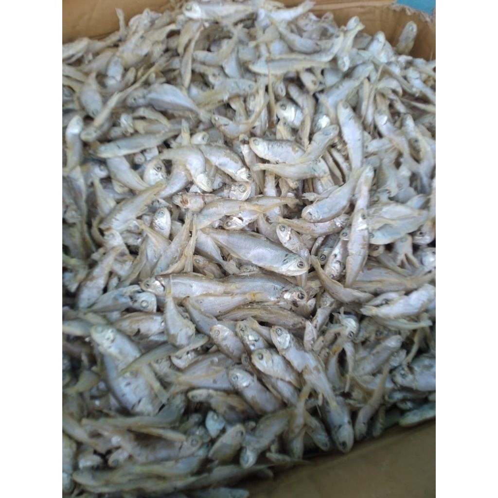 

Ikan asin/asin rebus Sepo Kase 1kg premium 100%tanpa pengawet