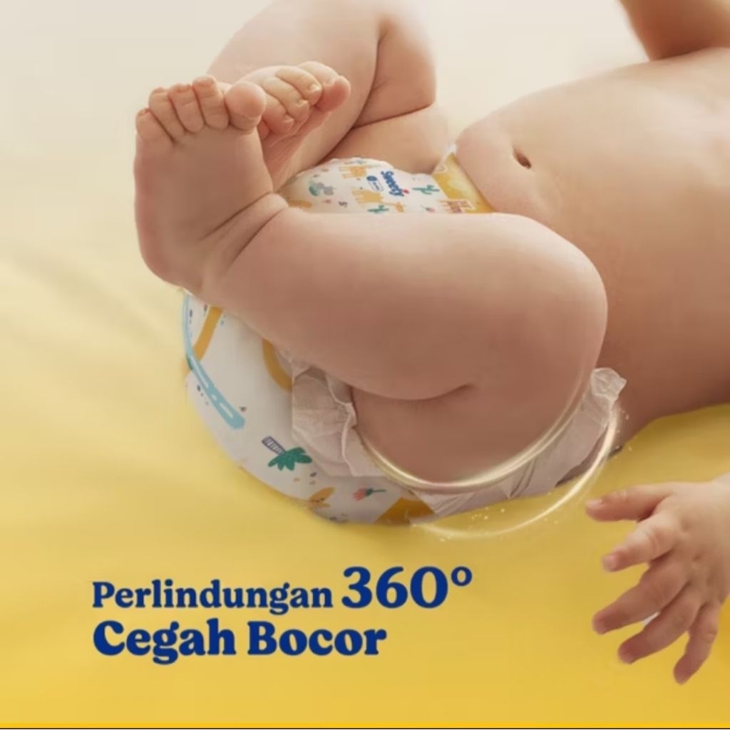 RB7 Sweety bronze dry expert PAKET 2 BAL PEREKAT NBS44, M40 CELANA S38, M32, L28, XL24 ,XXL24