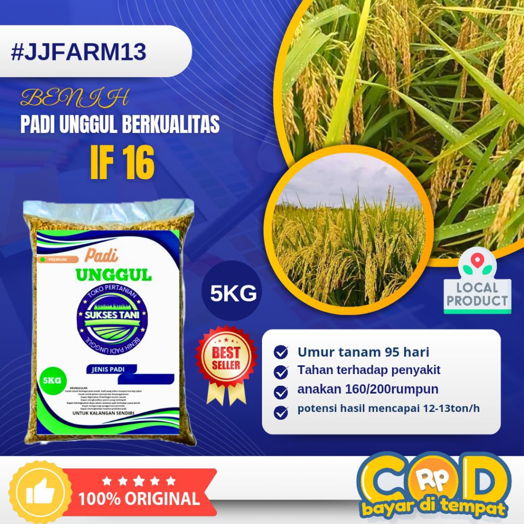 BENIH PADI UNGGUL BERKUALITAS IF16 KEMASAN 5KG
