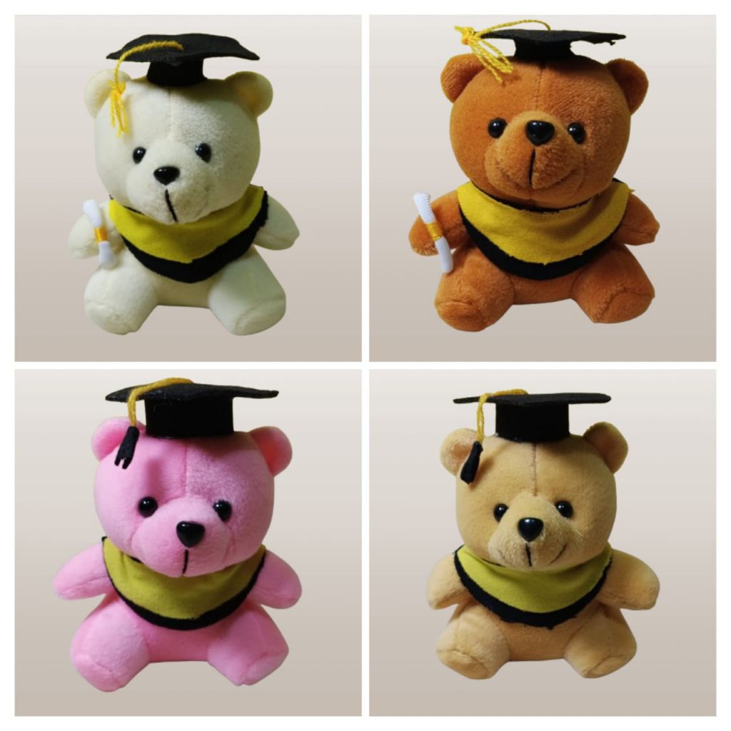 boneka wisuda / boneka bear wisuda / boneka wisuda mini / boneka wisuda untuk buket