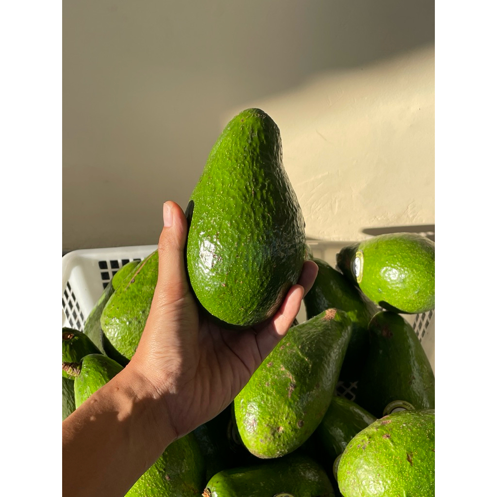 

Alpukat Mentega Lokal Jumbo Bergaransi – Daging Tebal, Lembut, Rasa Manis Gurih