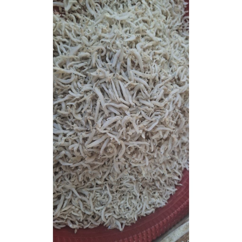 

Teri nasi 150gram