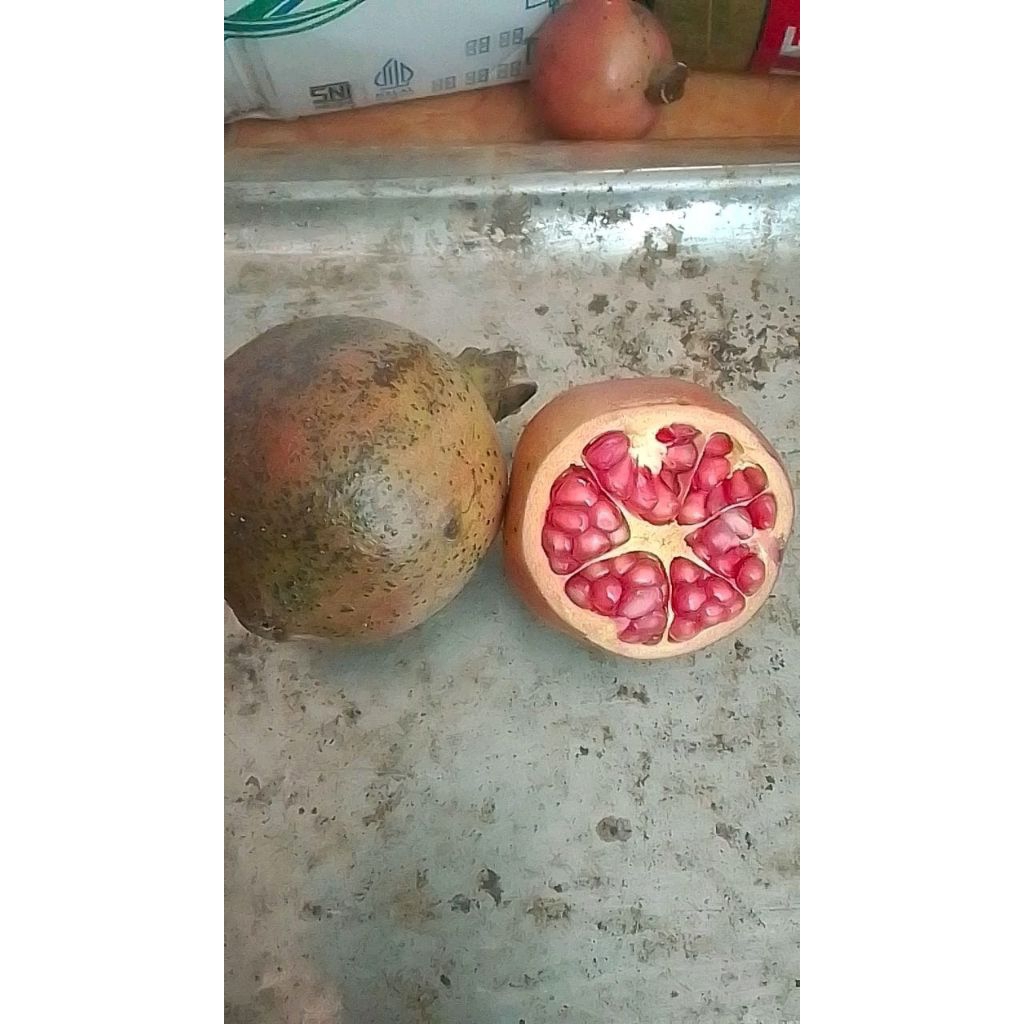 

buah delima merah lokal perbuah