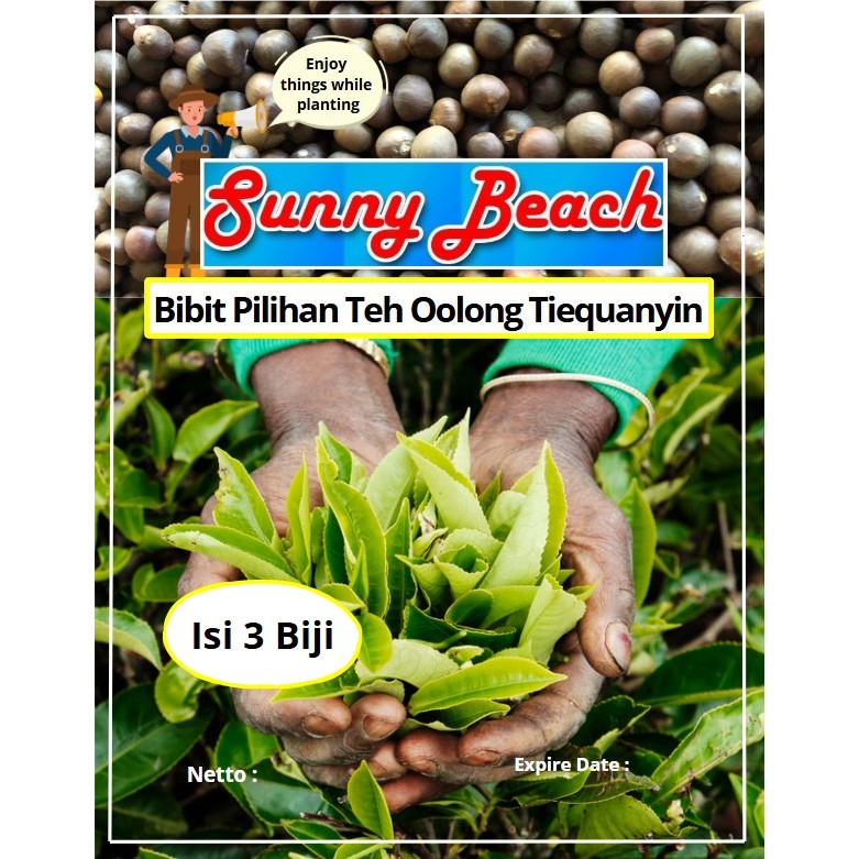 Bibit Pilihan Teh Oolong Tiequanyin | Biji Benih Teh Oolong Tiequanyin | Teh Oolong