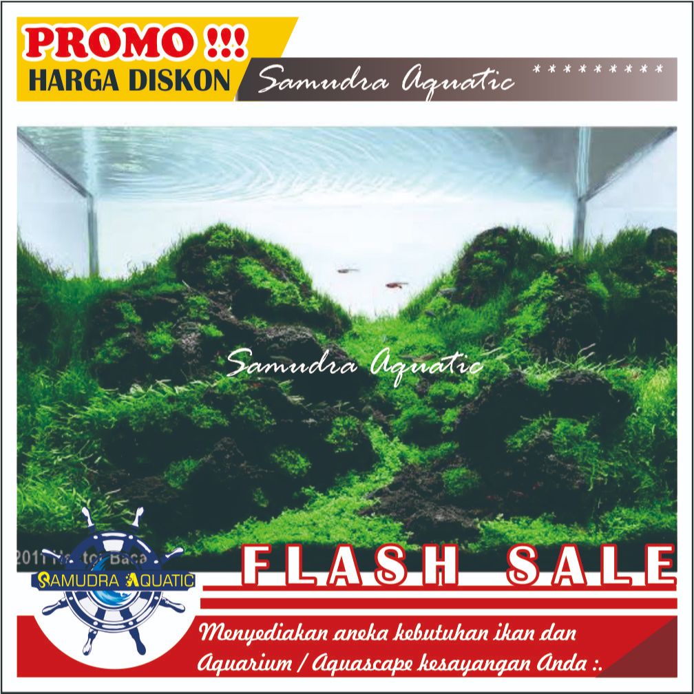 BATU AQUASCAPE | BATU LAVAROCK HITAM | BATU AQUARIUM | BATU TANAMAN