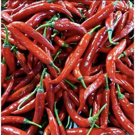 

Cabe Merah Besar Segar 500 Gram – Kualitas Pilihan untuk Masakan Harian
