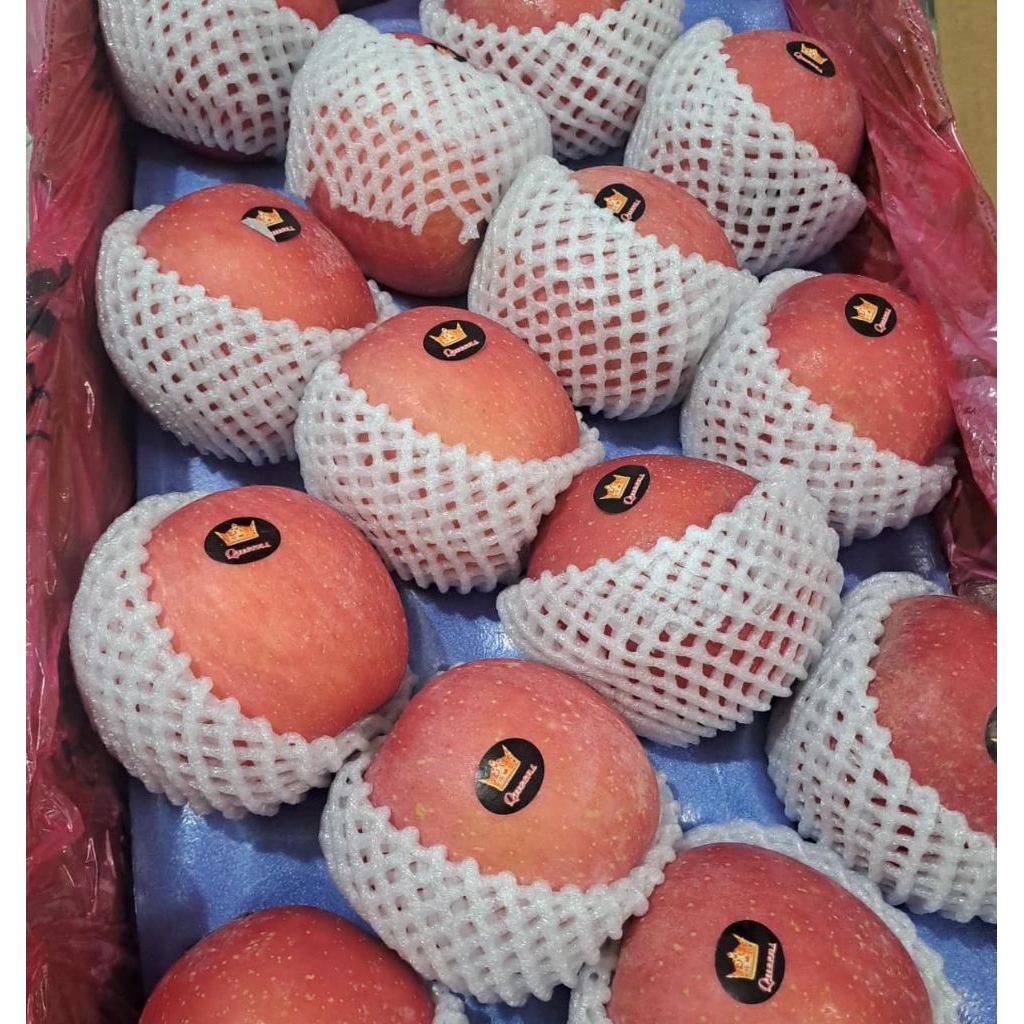 

Apel Fuji Super Queen