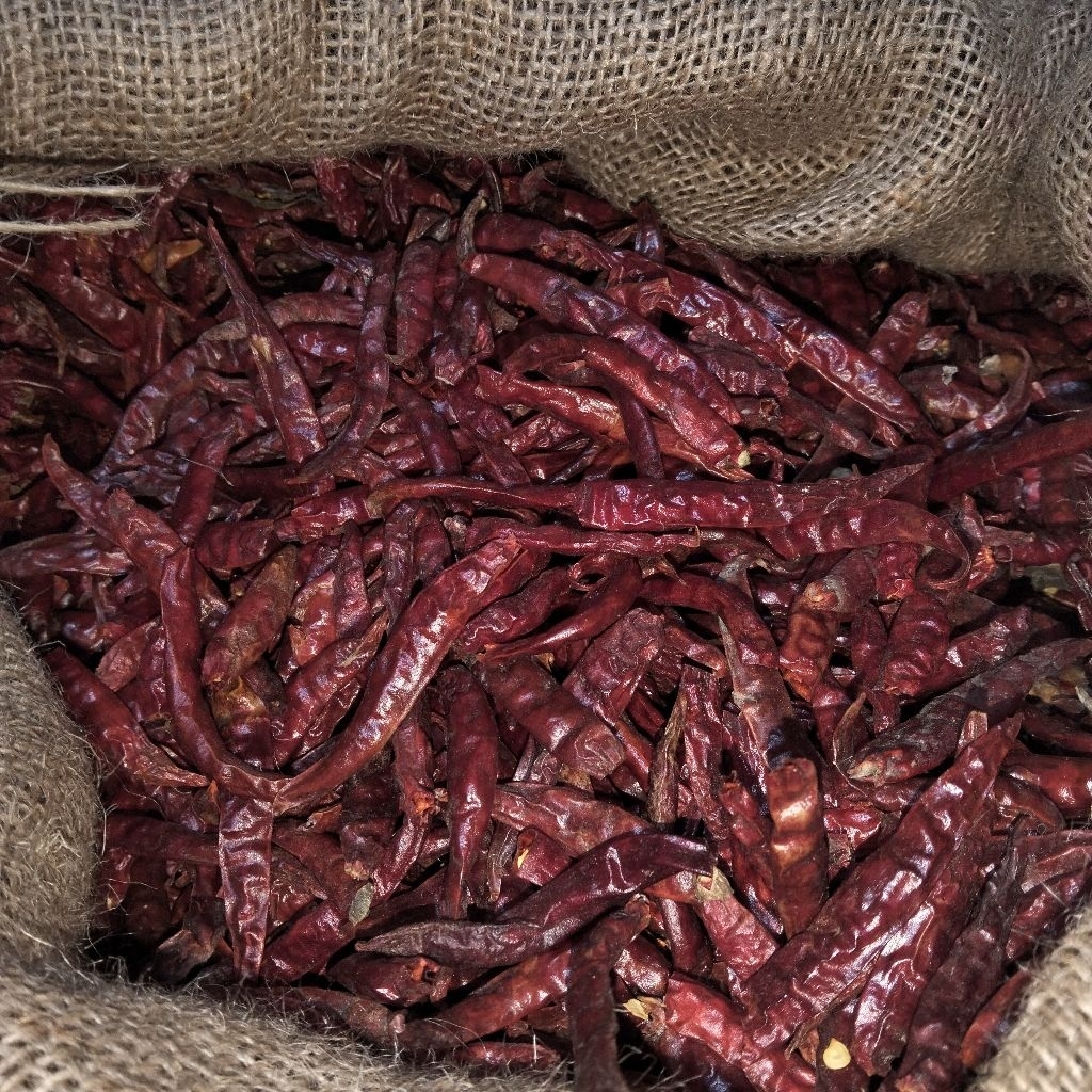 

CABE KERING RAWIT TEJA SUPER PEDAS