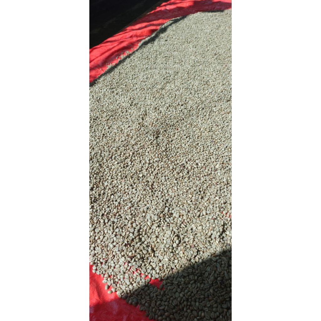 

Green Beans Natural Arabica Lawu