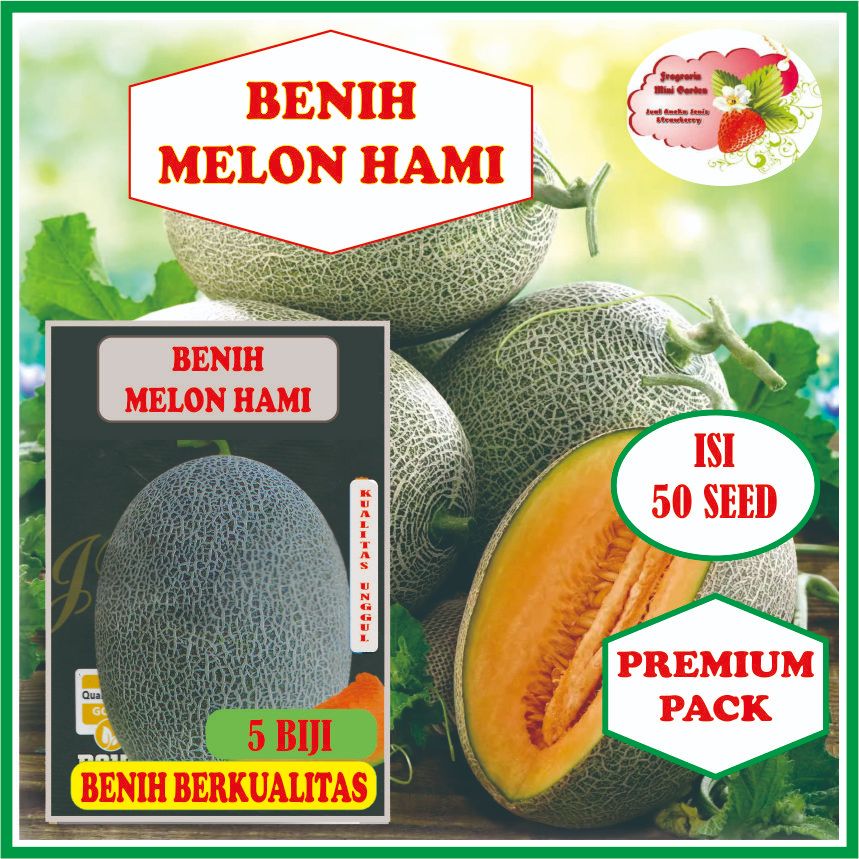 BENIH MELON HAMI ISI 50 BIJI
