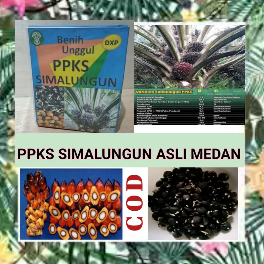 DXP SIMALUNGUN UNGGUL